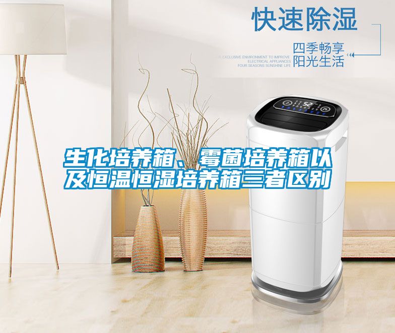 生化培養(yǎng)箱、霉菌培養(yǎng)箱以及恒溫恒濕培養(yǎng)箱三者區(qū)別