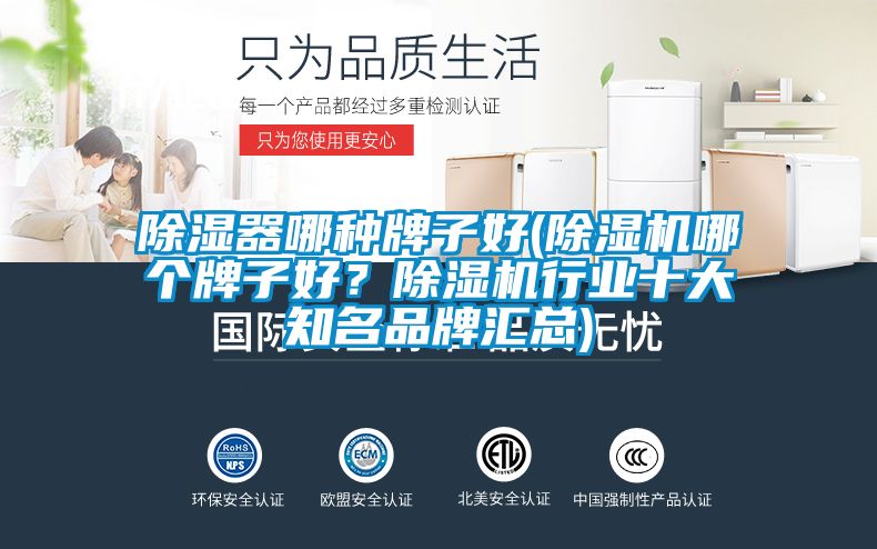 除濕器哪種牌子好(除濕機哪個牌子好？除濕機行業十大知名品牌匯總)
