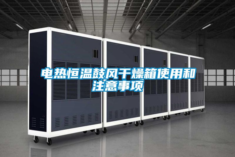 電熱恒溫鼓風干燥箱使用和注意事項