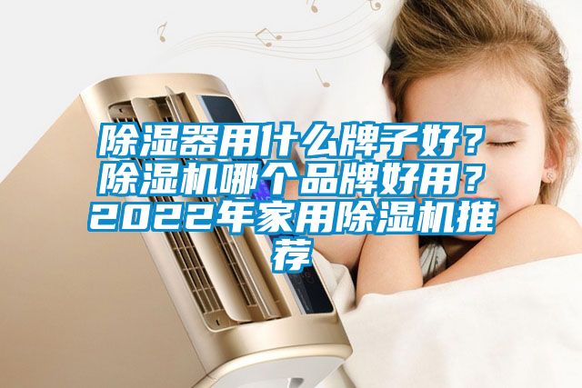 除濕器用什么牌子好？除濕機(jī)哪個(gè)品牌好用？2022年家用除濕機(jī)推薦