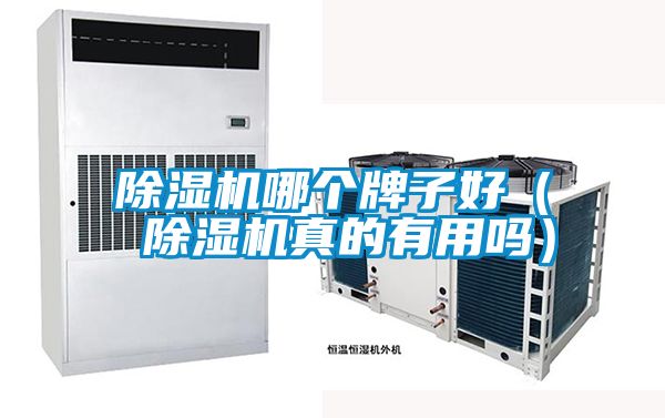 除濕機(jī)哪個(gè)牌子好( 除濕機(jī)真的有用嗎)