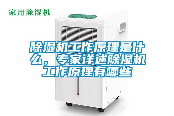 除濕機工作原理是什么，專家詳述除濕機工作原理有哪些