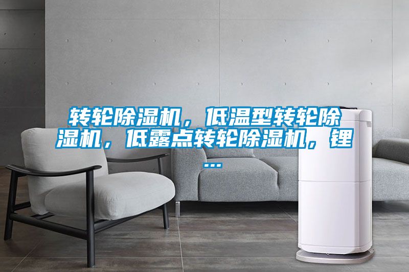轉(zhuǎn)輪除濕機(jī),低溫型轉(zhuǎn)輪除濕機(jī),低露點(diǎn)轉(zhuǎn)輪除濕機(jī),鋰 ...