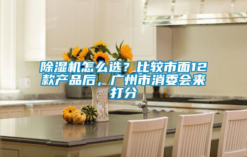 除濕機怎么選？比較市面12款產品后，廣州市消委會來打分