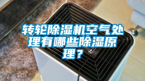 轉輪除濕機空氣處理有哪些除濕原理?