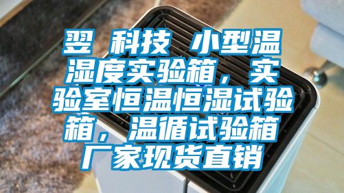 翌昇科技 小型溫濕度實(shí)驗(yàn)箱,實(shí)驗(yàn)室恒溫恒濕試驗(yàn)箱,溫循試驗(yàn)箱廠家現(xiàn)貨直銷