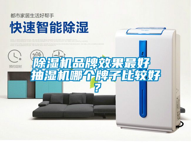 除濕機(jī)品牌效果最好 抽濕機(jī)哪個牌子比較好?