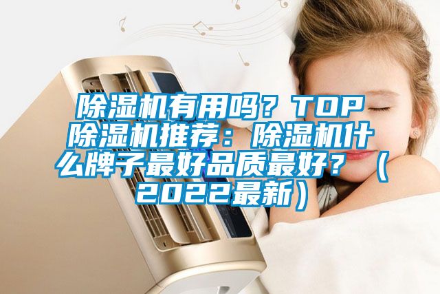 除濕機有用嗎？TOP除濕機推薦：除濕機什么牌子最好品質最好？（2022最新）