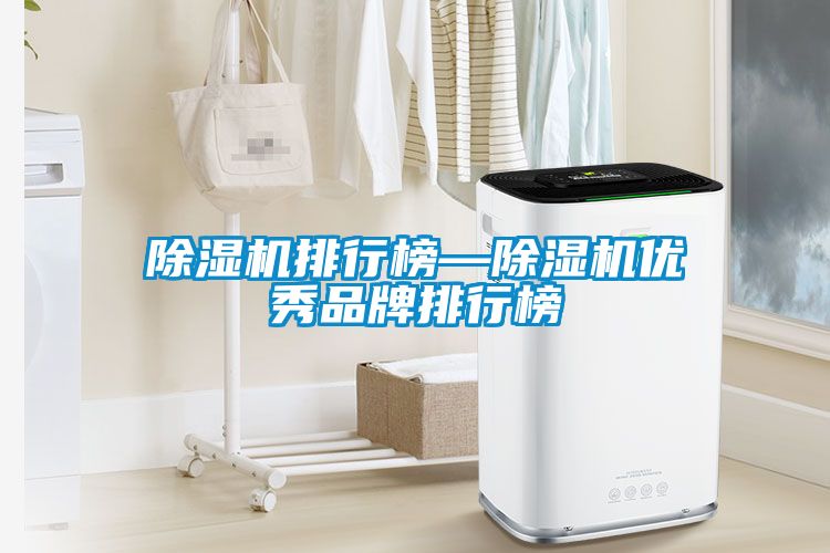 除濕機排行榜—除濕機優秀品牌排行榜