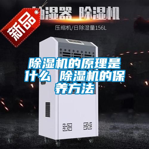 除濕機的原理是什么 除濕機的保養方法