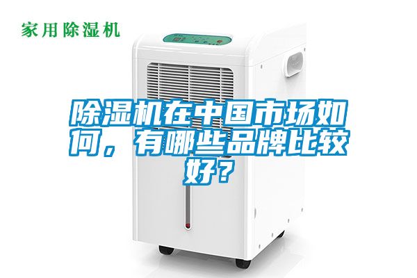 除濕機在中國市場如何,有哪些品牌比較好?
