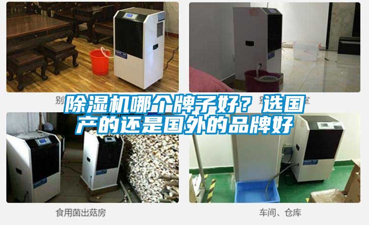 除濕機哪個牌子好?選國產(chǎn)的還是國外的品牌好