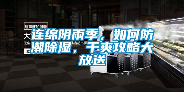 連綿陰雨季，如何防潮除濕，干爽攻略大放送