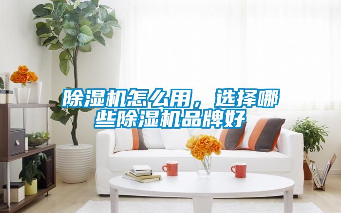 除濕機怎么用，選擇哪些除濕機品牌好