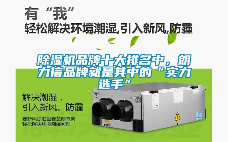 除濕機品牌十大排名中,朗力信品牌就是其中的“實力選手”
