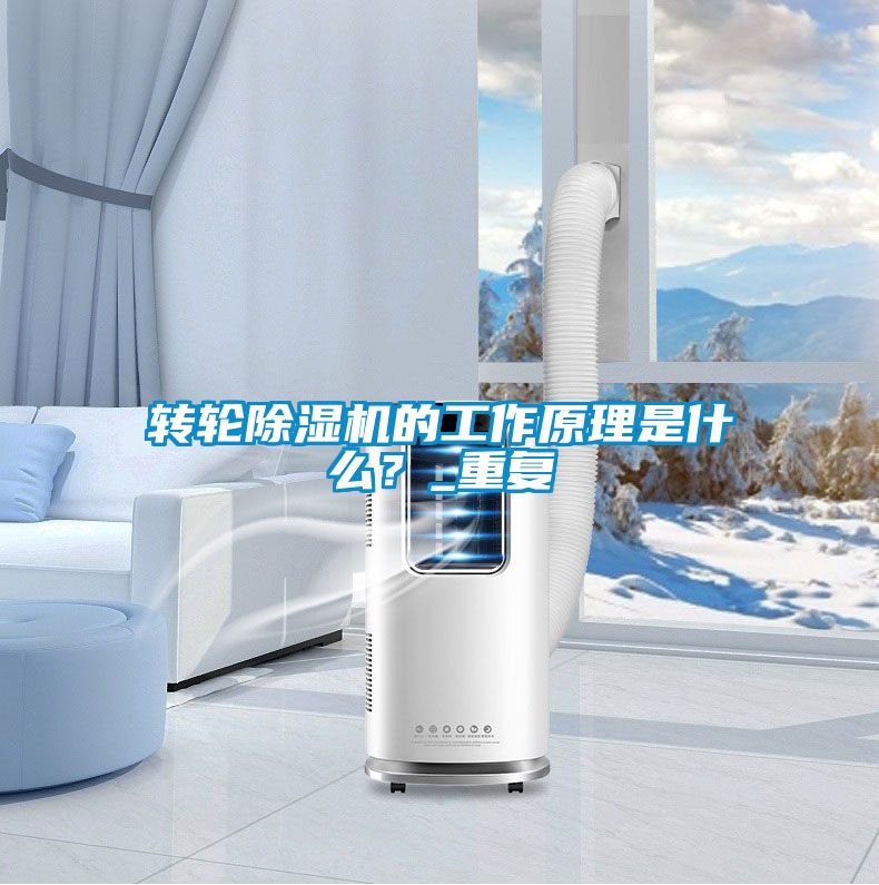 轉輪除濕機的工作原理是什么?_重復