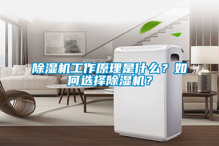 除濕機工作原理是什么?如何選擇除濕機?