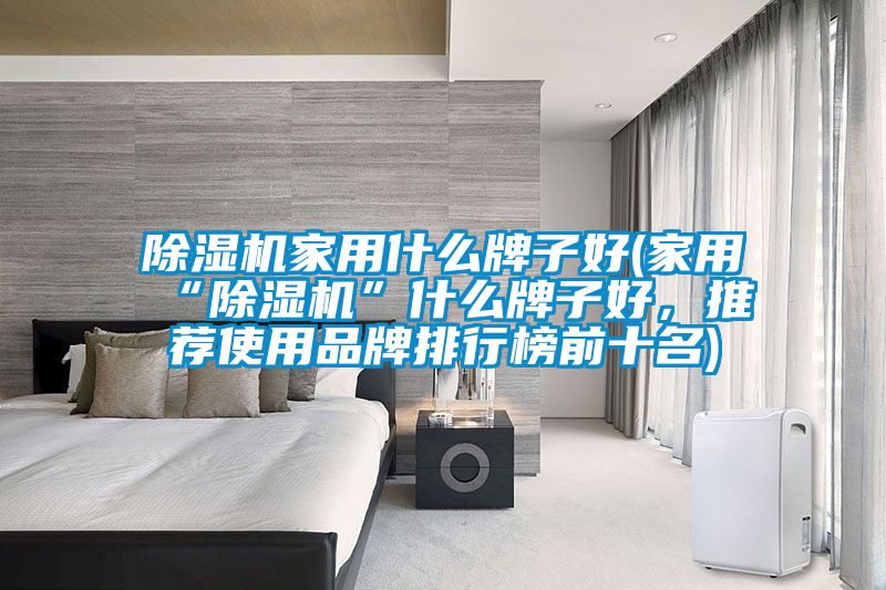 除濕機家用什么牌子好(家用“除濕機”什么牌子好，推薦使用品牌排行榜前十名)