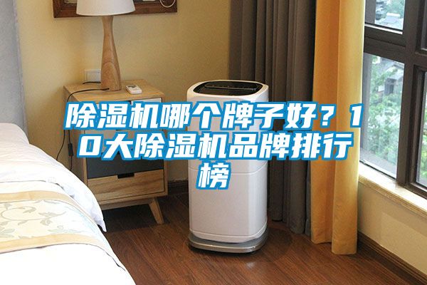 除濕機哪個牌子好？10大除濕機品牌排行榜