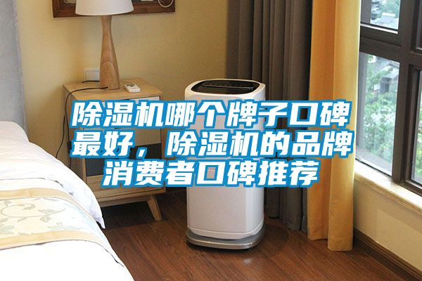 除濕機(jī)哪個(gè)牌子口碑最好,除濕機(jī)的品牌消費(fèi)者口碑推薦