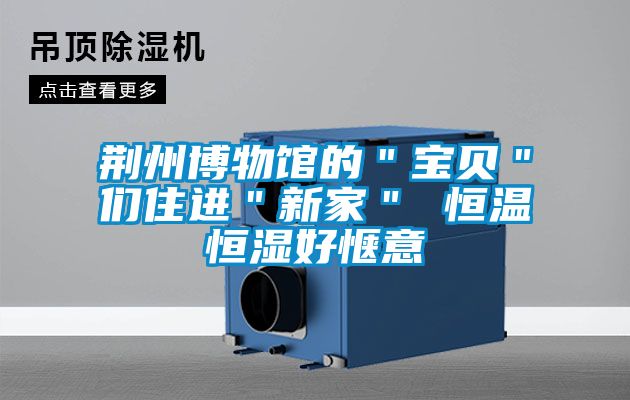 荊州博物館的"寶貝"們住進"新家" 恒溫恒濕好愜意