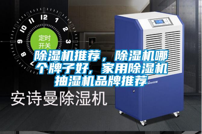 除濕機(jī)推薦，除濕機(jī)哪個(gè)牌子好, 家用除濕機(jī)抽濕機(jī)品牌推薦