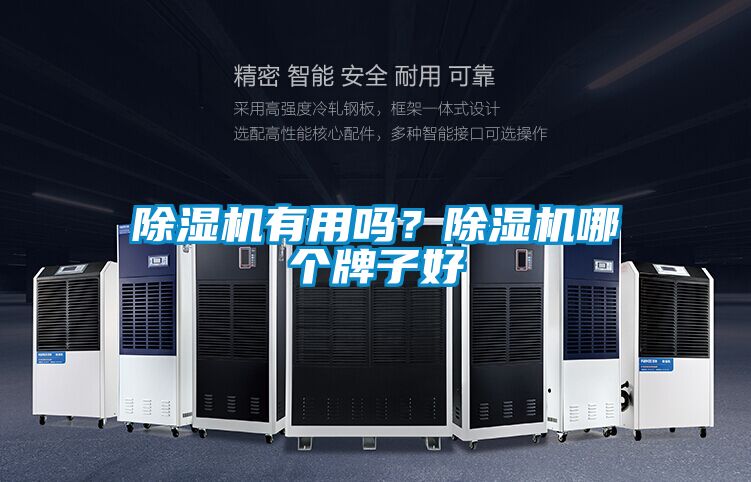 除濕機(jī)有用嗎?除濕機(jī)哪個牌子好