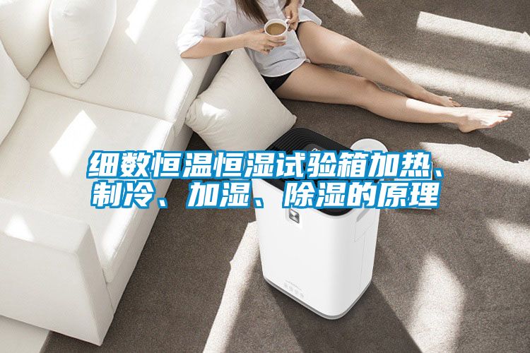 細數恒溫恒濕試驗箱加熱、制冷、加濕、除濕的原理