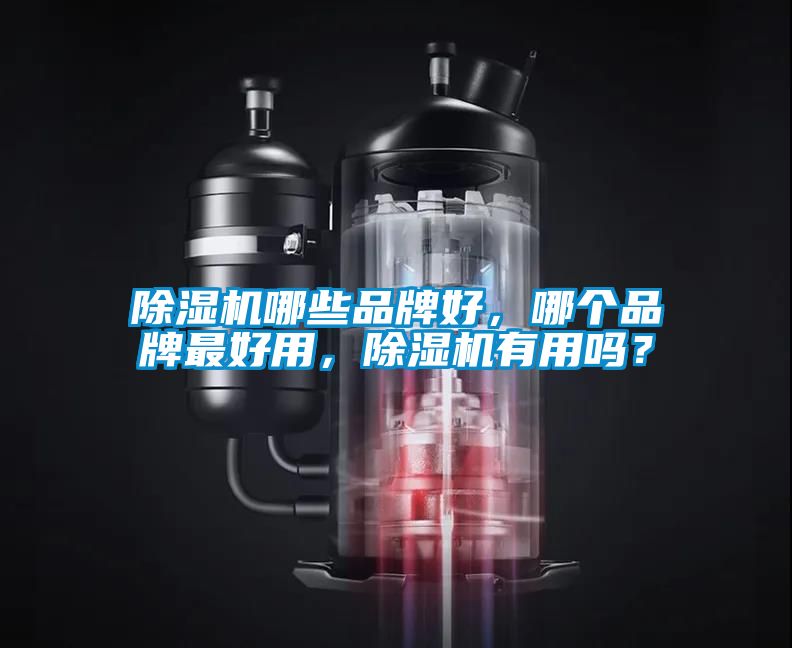 除濕機哪些品牌好，哪個品牌最好用，除濕機有用嗎？