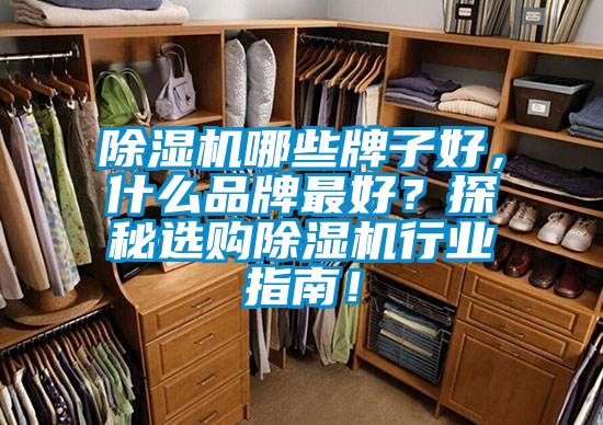 除濕機哪些牌子好,什么品牌最好?探秘選購除濕機行業指南!