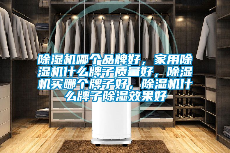 除濕機哪個品牌好，家用除濕機什么牌子質量好，除濕機買哪個牌子好，除濕機什么牌子除濕效果好