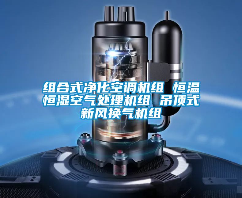 組合式凈化空調(diào)機組 恒溫恒濕空氣處理機組 吊頂式新風(fēng)換氣機組