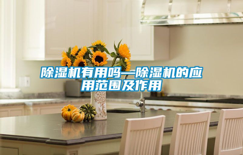 除濕機有用嗎—除濕機的應(yīng)用范圍及作用