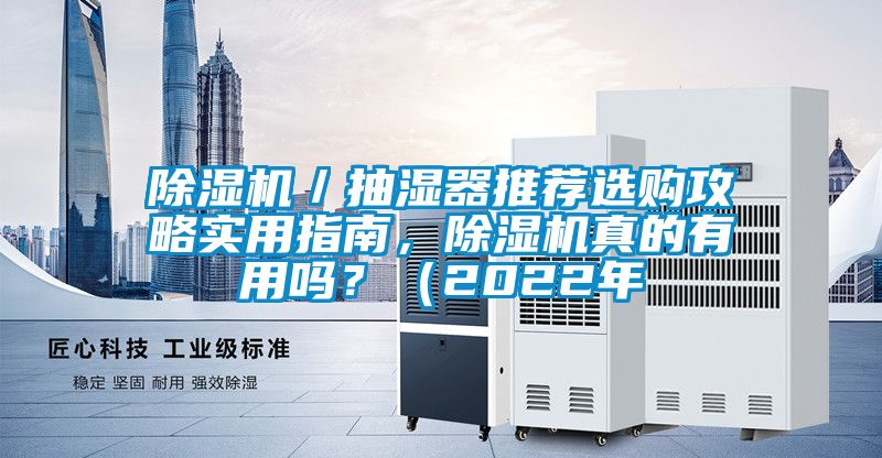 除濕機／抽濕器推薦選購攻略實用指南，除濕機真的有用嗎？（2022年