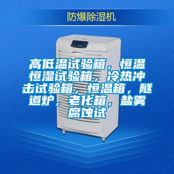 高低溫試驗箱,恒溫恒濕試驗箱,冷熱沖擊試驗箱,恒溫箱,隧道爐,老化箱,鹽霧腐蝕試