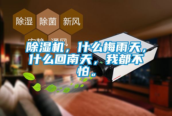 除濕機,什么梅雨天,什么回南天,我都不怕。