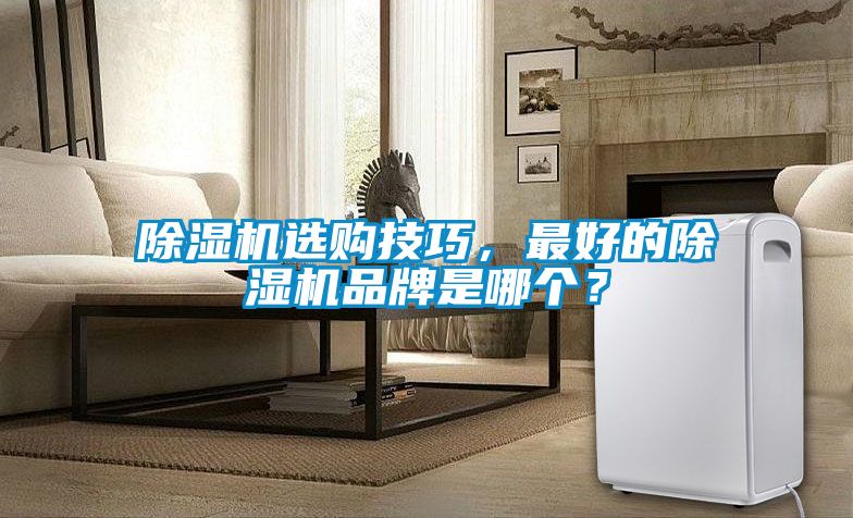 除濕機選購技巧，最好的除濕機品牌是哪個？
