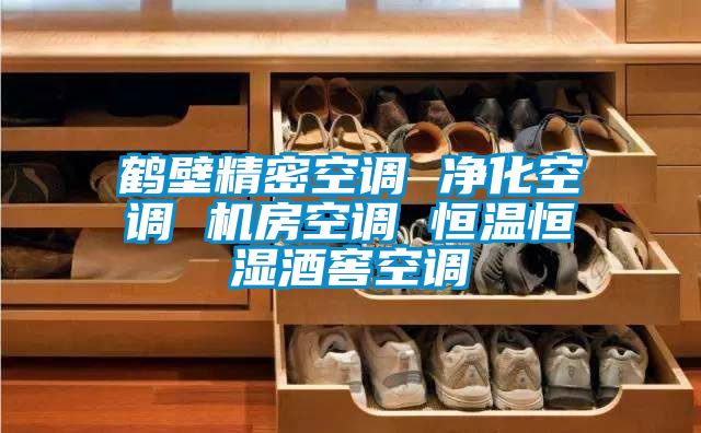 鶴壁精密空調 凈化空調 機房空調 恒溫恒濕酒窖空調