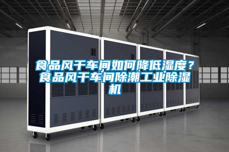 食品風(fēng)干車間如何降低濕度?食品風(fēng)干車間除潮工業(yè)除濕機(jī)