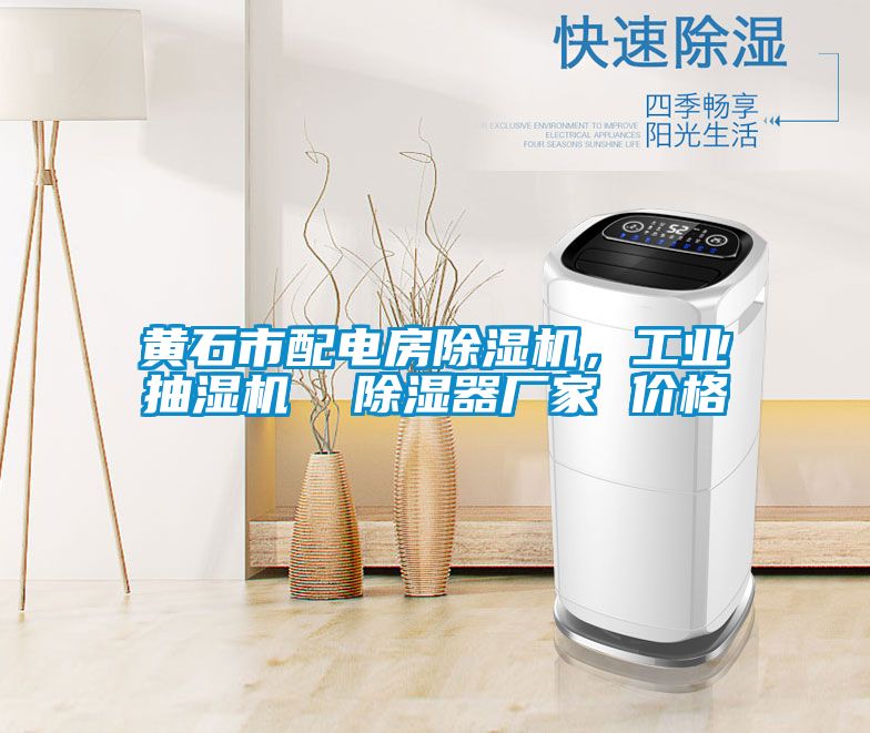黃石市配電房除濕機，工業(yè)抽濕機  除濕器廠家 價格