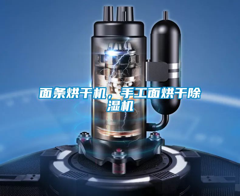 面條烘干機,手工面烘干除濕機