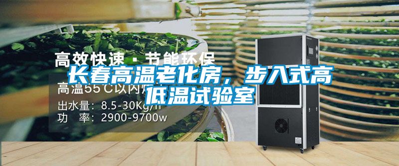 長春高溫老化房，步入式高低溫試驗室