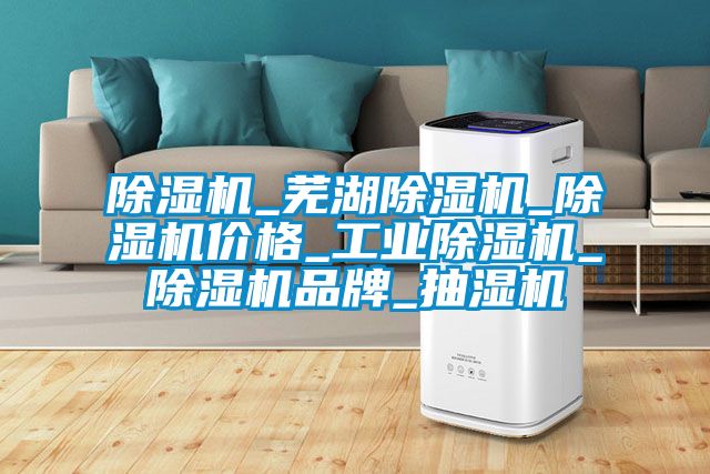 除濕機_蕪湖除濕機_除濕機價格_工業除濕機_除濕機品牌_抽濕機