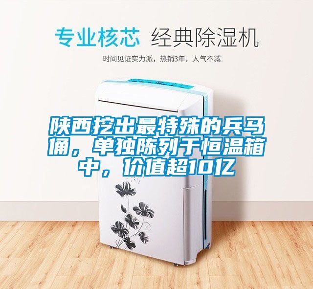 陜西挖出最特殊的兵馬俑,單獨(dú)陳列于恒溫箱中,價(jià)值超10億