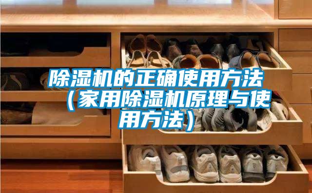 除濕機的正確使用方法(家用除濕機原理與使用方法)