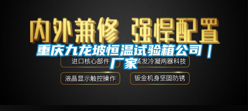 重慶九龍坡恒溫試驗箱公司|廠家