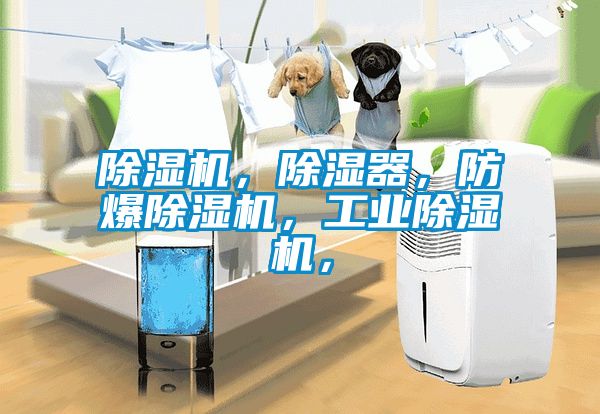 除濕機,除濕器,防爆除濕機,工業除濕機,