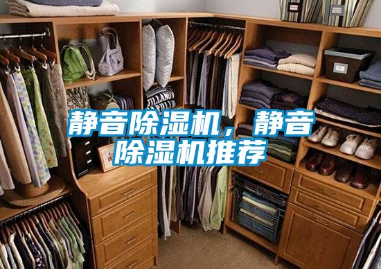 靜音除濕機(jī),靜音除濕機(jī)推薦