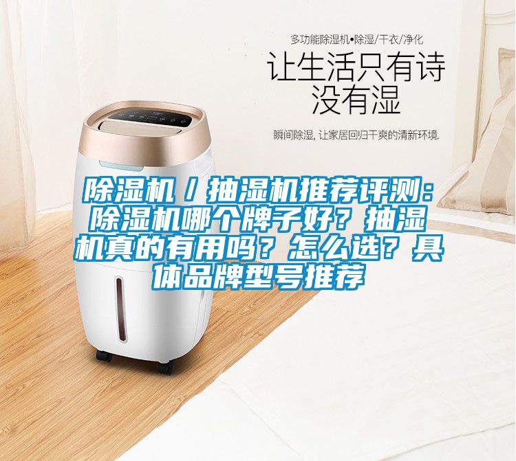 除濕機/抽濕機推薦評測:除濕機哪個牌子好?抽濕機真的有用嗎?怎么選?具體品牌型號推薦