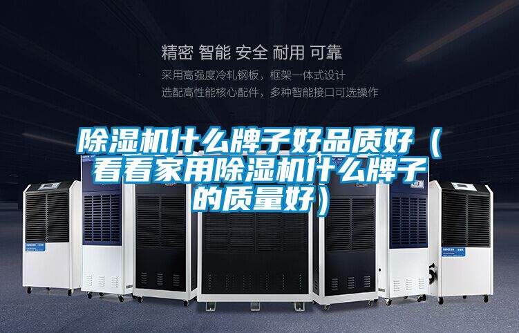 除濕機(jī)什么牌子好品質(zhì)好(看看家用除濕機(jī)什么牌子的質(zhì)量好)